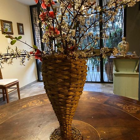 Basisa Bed&Breakfast Σαν Λάτζαρο ντι Σάβενα Εξωτερικό φωτογραφία