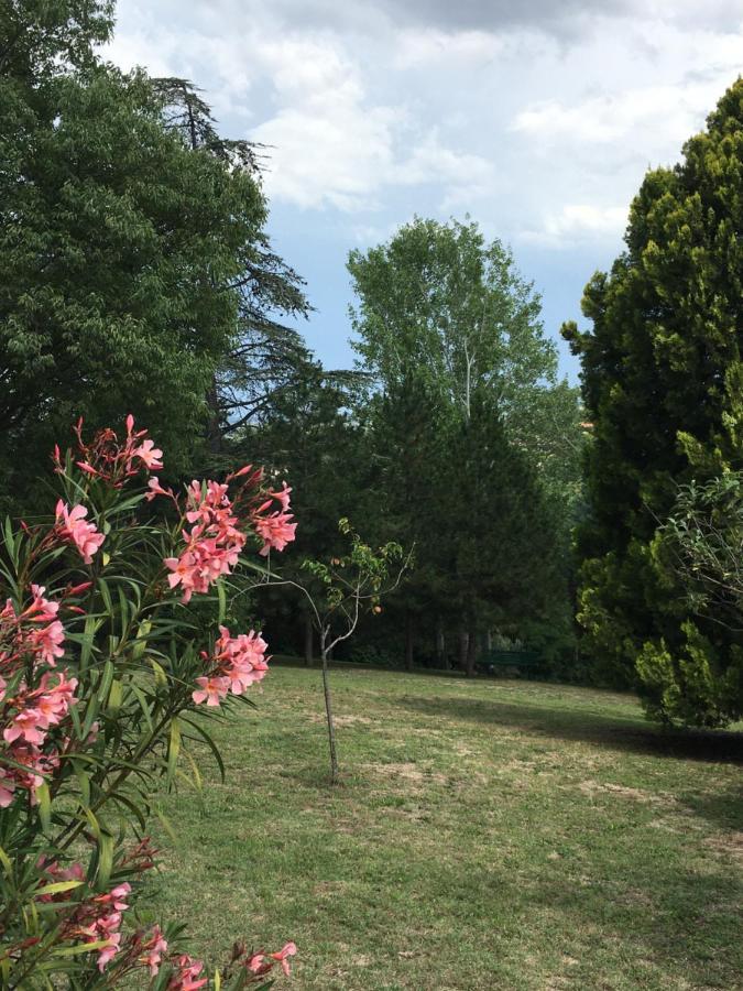 Basisa Bed&Breakfast Σαν Λάτζαρο ντι Σάβενα Εξωτερικό φωτογραφία
