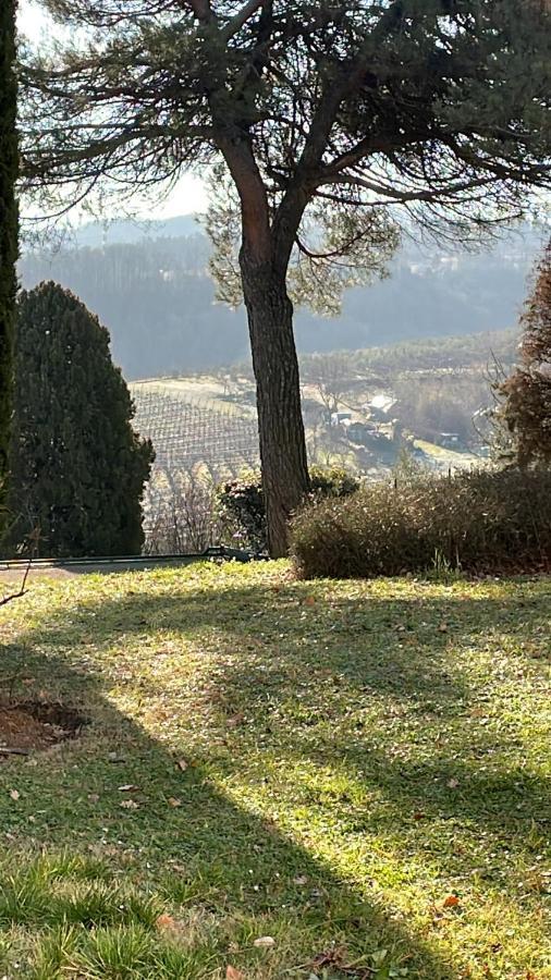 Basisa Bed&Breakfast Σαν Λάτζαρο ντι Σάβενα Εξωτερικό φωτογραφία