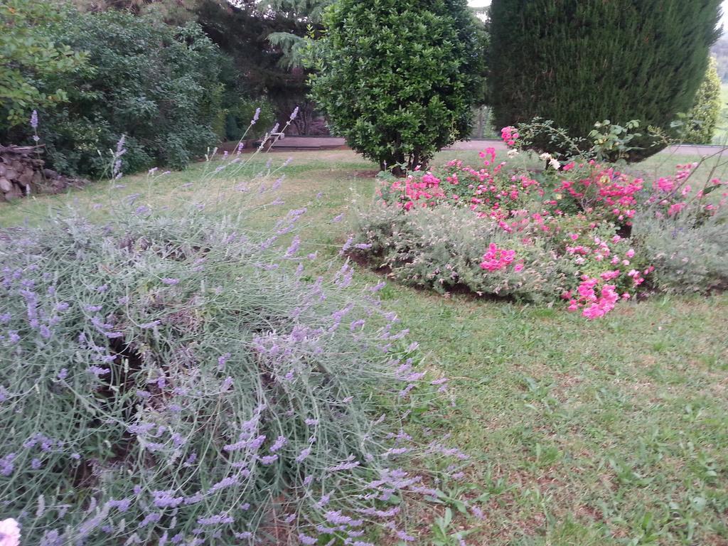 Basisa Bed&Breakfast Σαν Λάτζαρο ντι Σάβενα Εξωτερικό φωτογραφία
