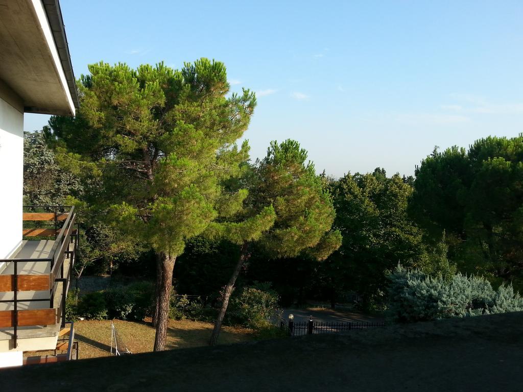 Basisa Bed&Breakfast Σαν Λάτζαρο ντι Σάβενα Δωμάτιο φωτογραφία